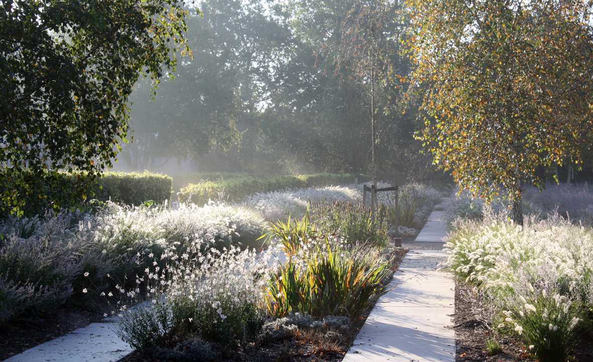 URN GARDEN 墓地景观丨荷兰阿姆斯特丹丨karres+brands-11