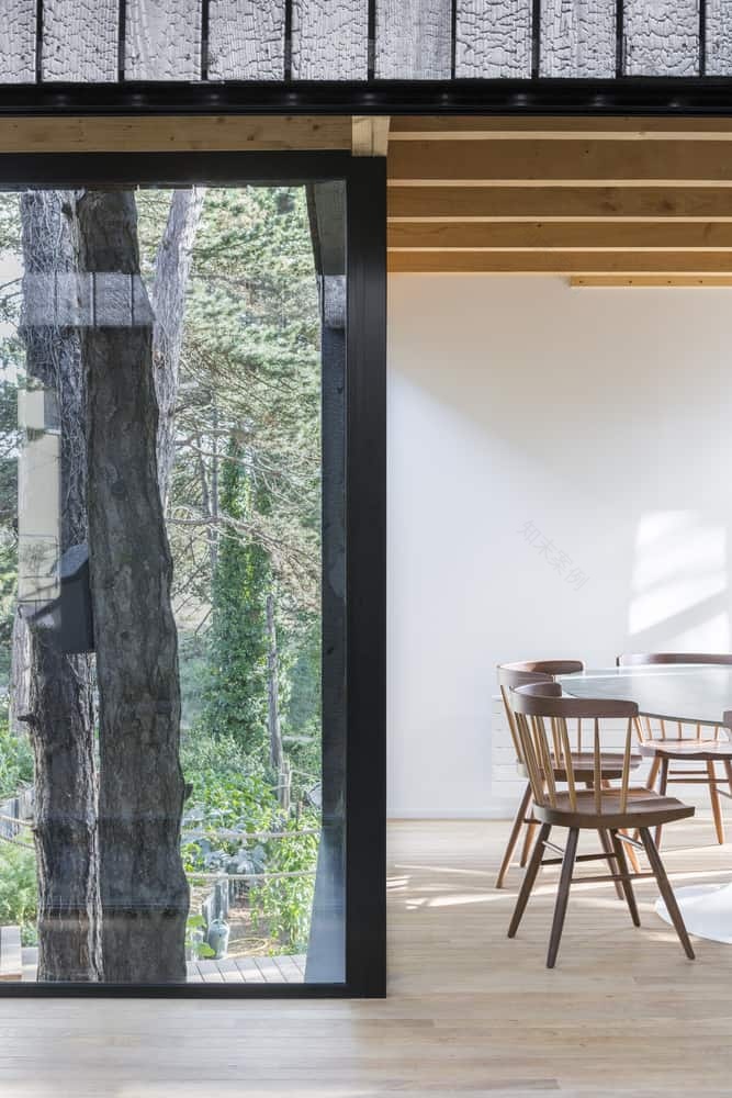 Uniquely Treehouse inspired house by Atelier Victoria Migliore features stilts, swings, and climbing nets just like the real thing-13