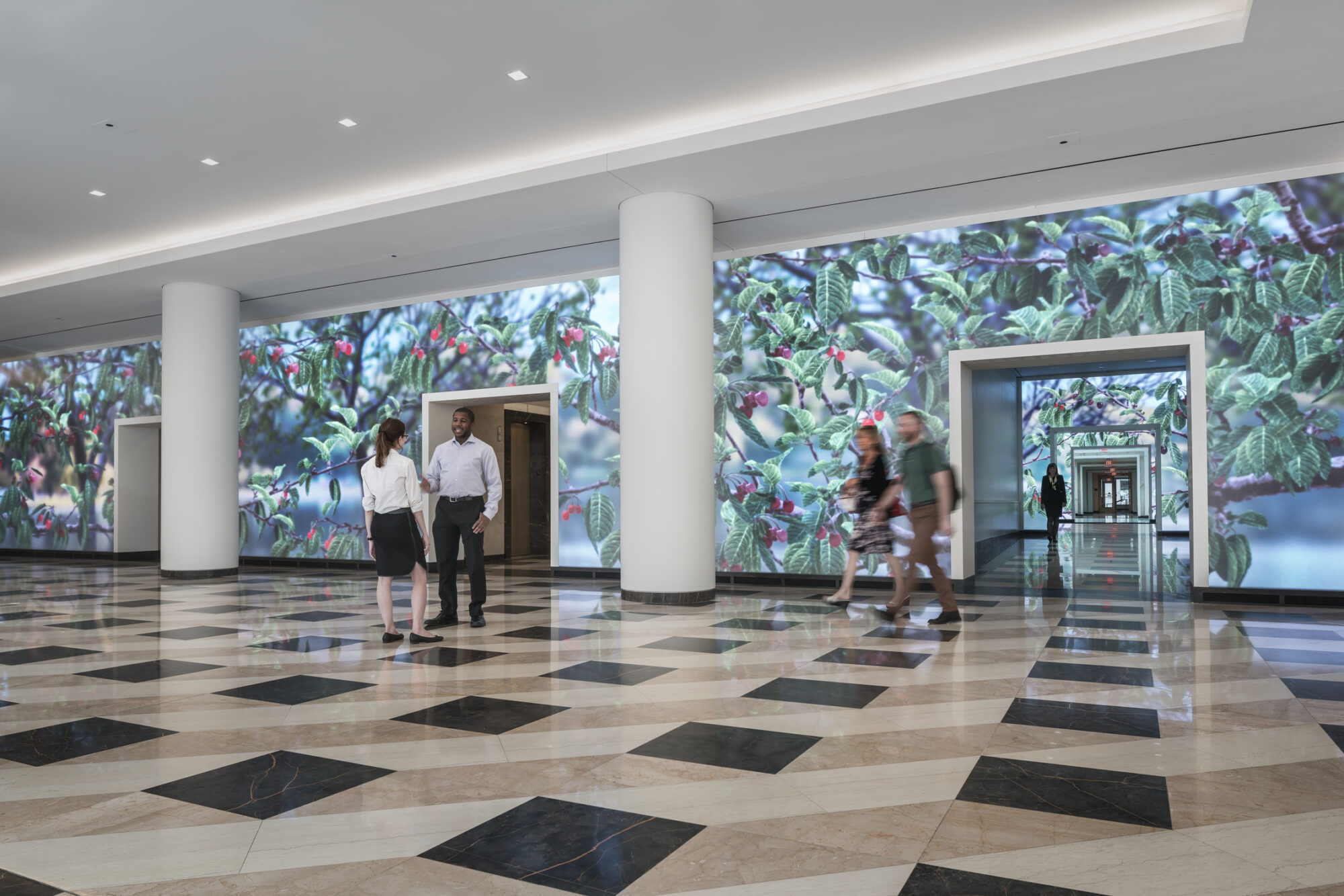 特雷尔广场重新定位项目 -0