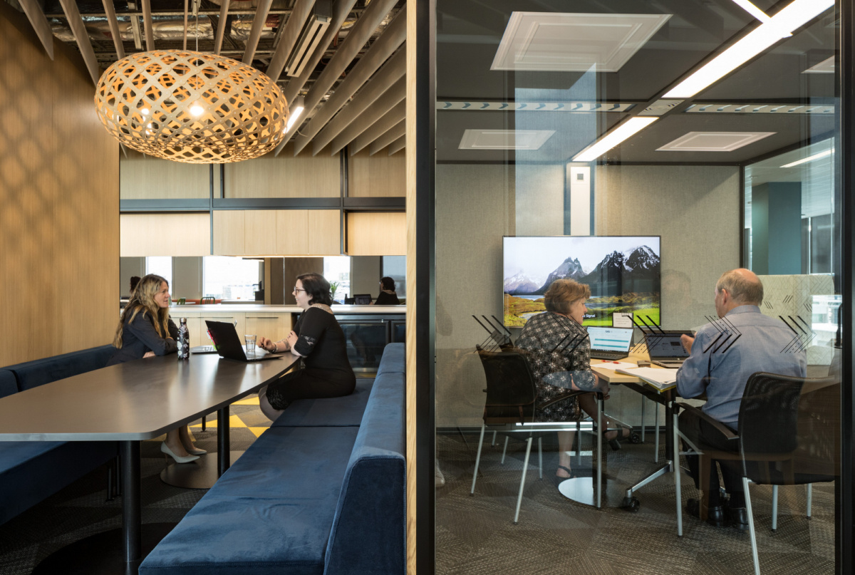 新西兰 Auckland Tourism 办公室，文化叙事与环保并重-12