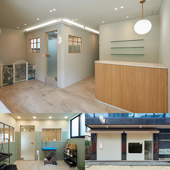 简约清新宠物美容室设计-1