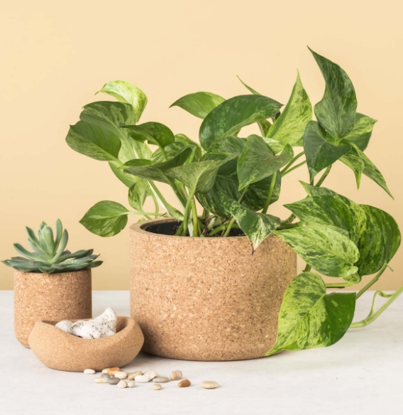 2021 年度创意日历盘点,为生活添彩-50