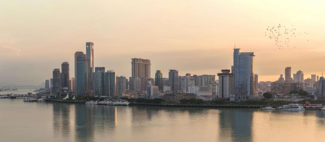 工程里程碑丨厦门绿发中心A地块正式交付投运-217