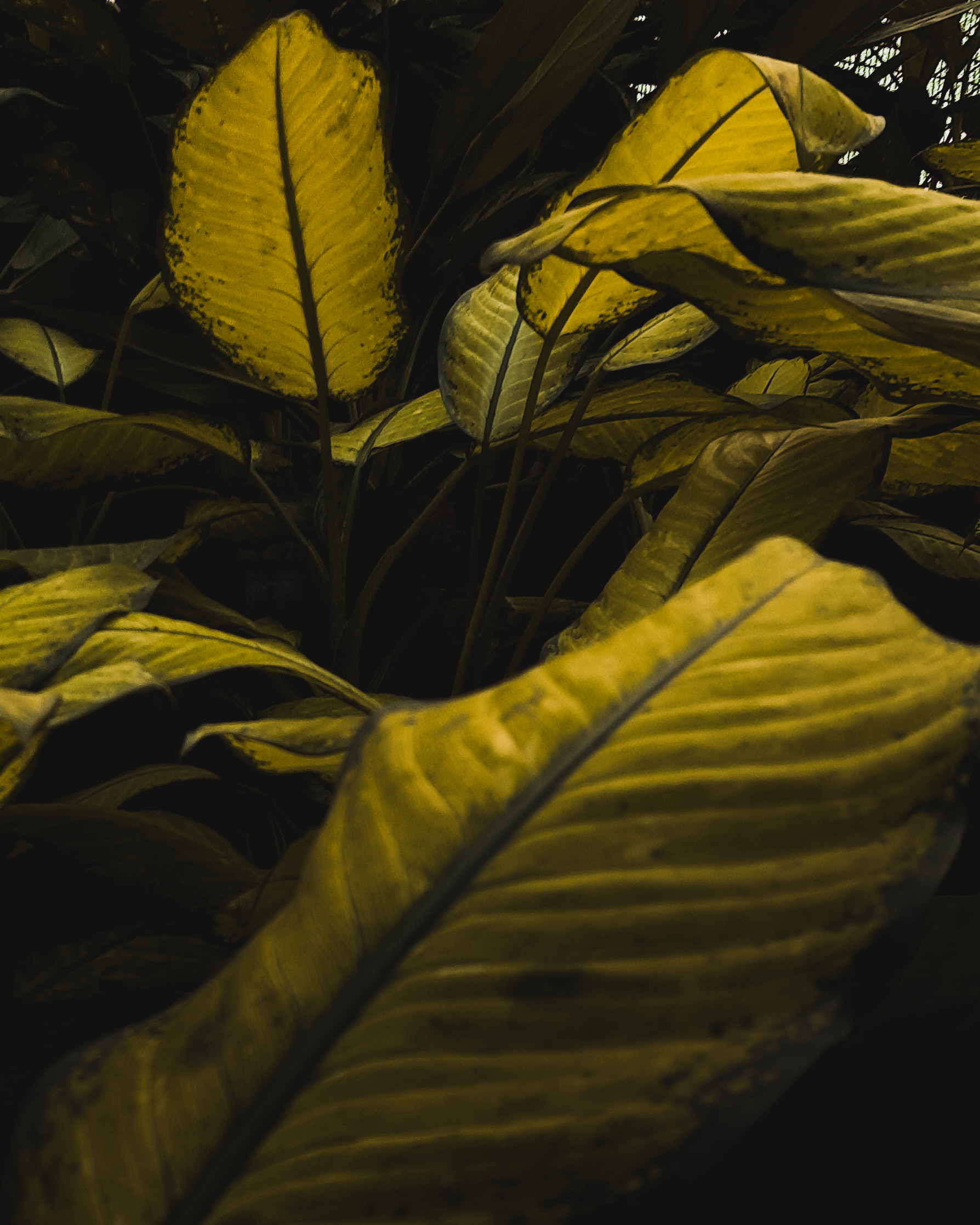 photos captured in a nursery-4