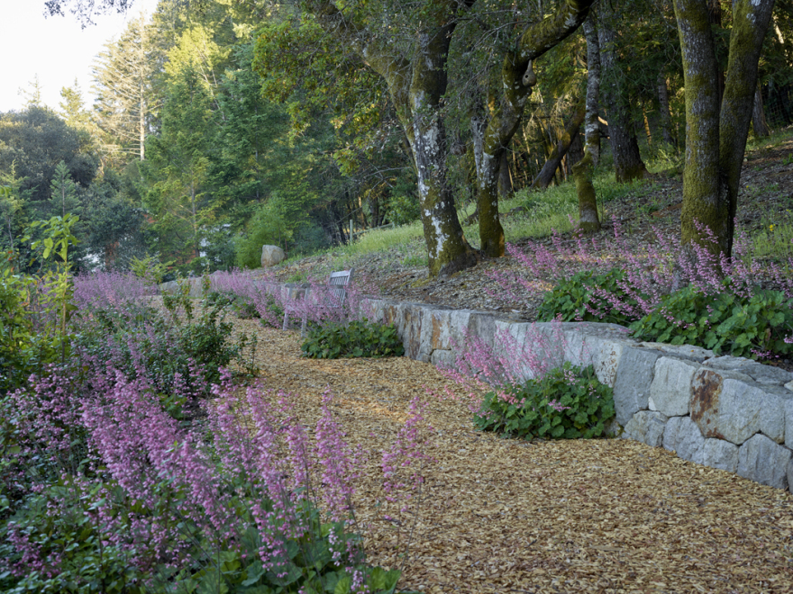 加州希尔兹堡,新旧交汇的野趣庄园 / Lucas & Lucas-27