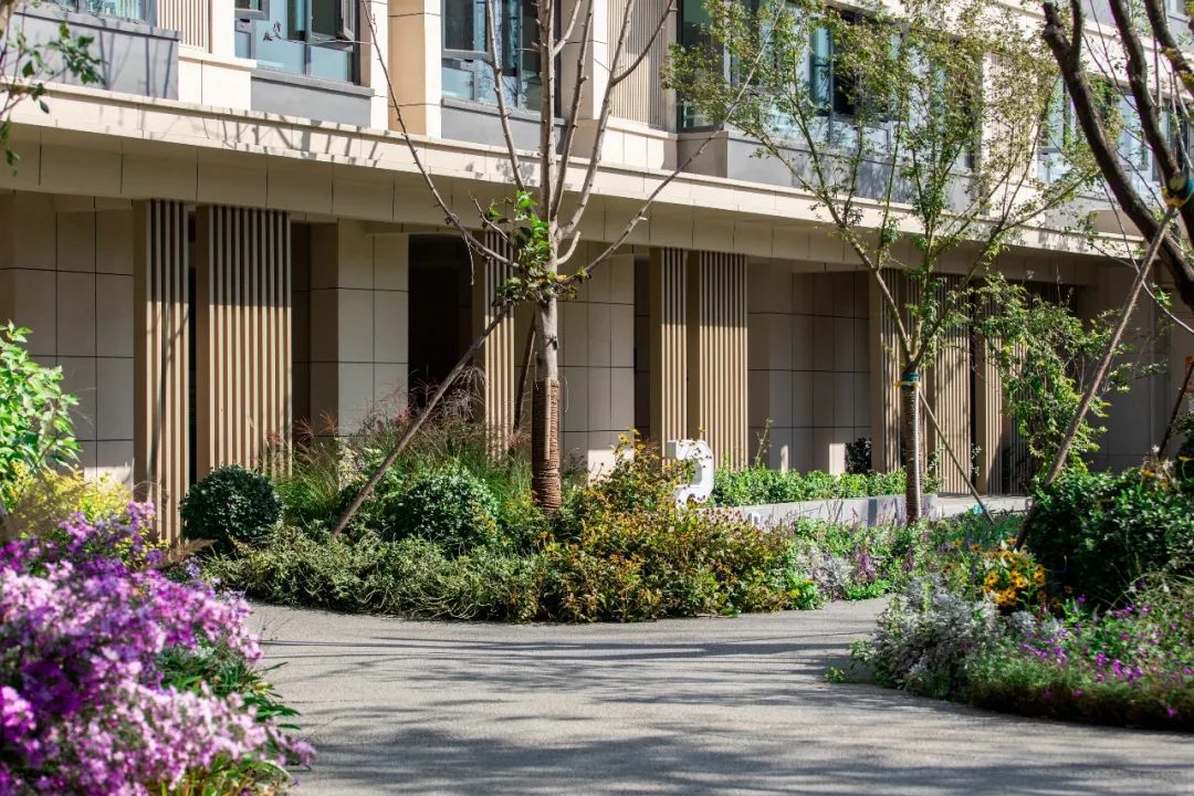 绿色智慧生活样本 | 乡愁记忆的新区实验区-58