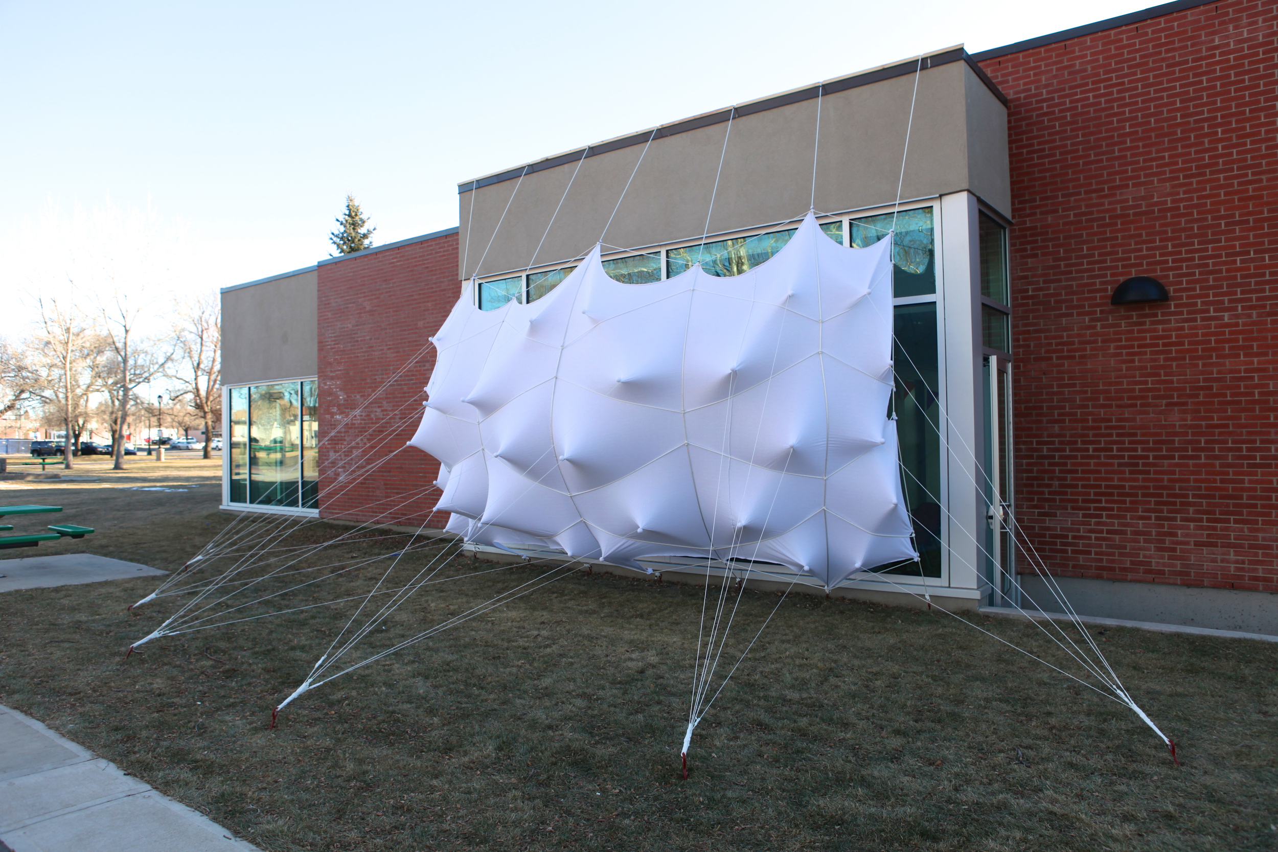 蜂群;一群(昆虫、人等);一大群;蜂拥而至;成群移动;云集丨加拿大丨Lancelot Coar-15