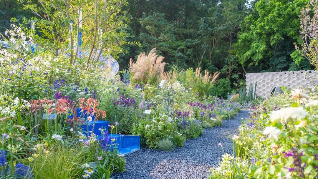 无界丨中国深圳丨林俊英景观工作室-49