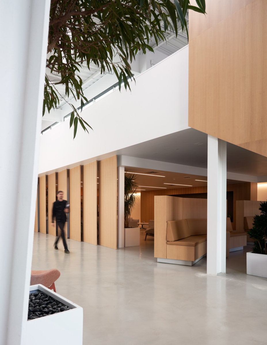 Headspace 总部扩建 | 加州圣塔莫尼卡-15