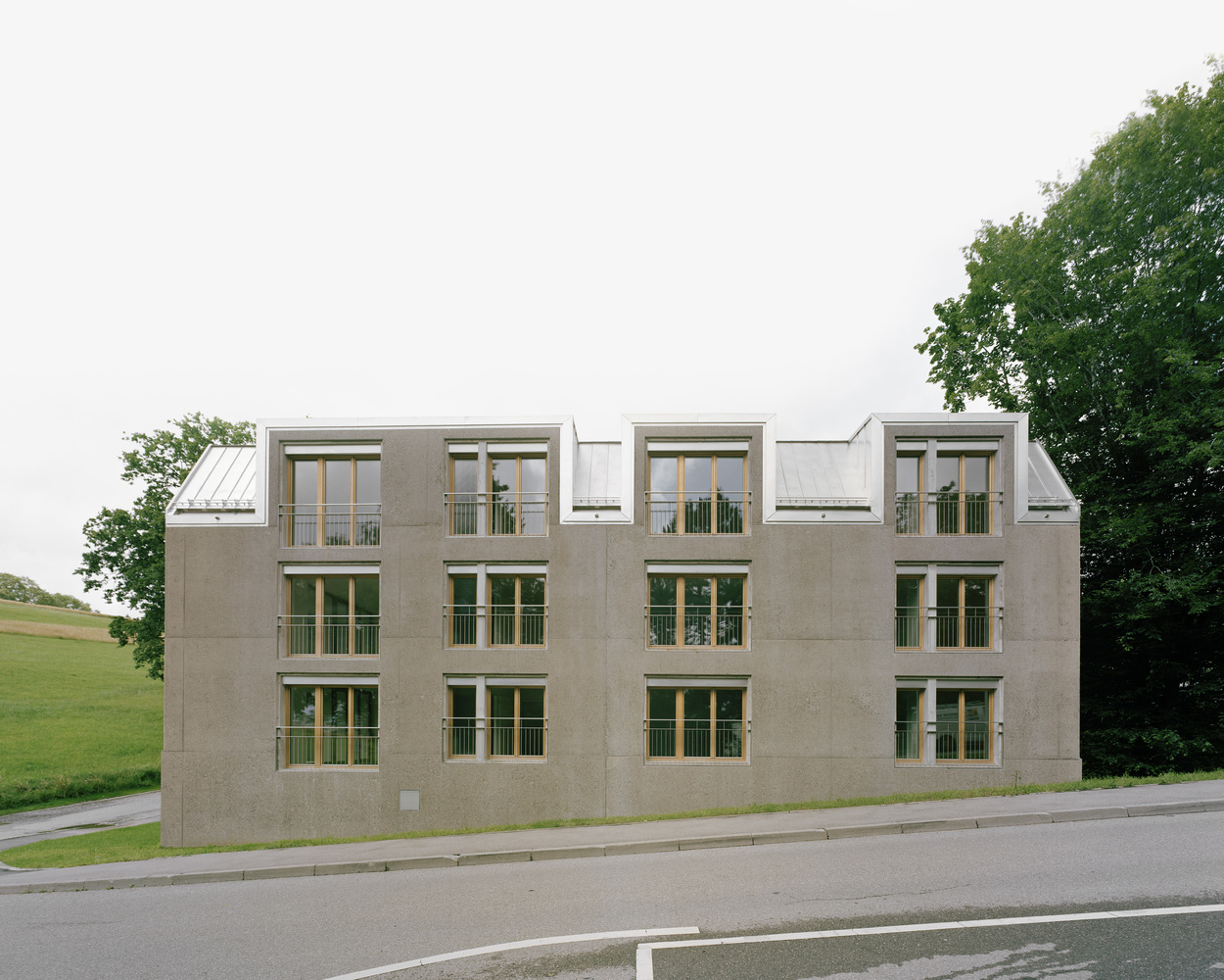 瑞士乡村豪华公寓丨Deschenaux Architects-6