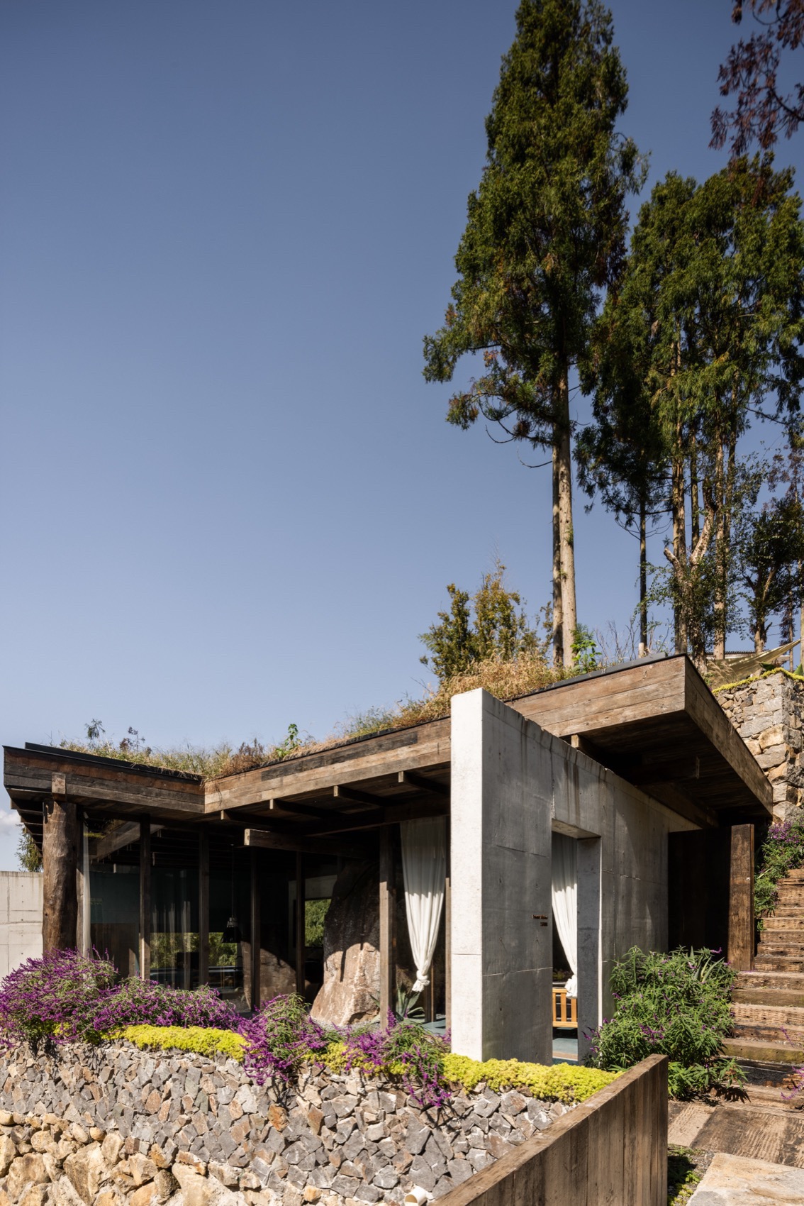 秘伽度假酒店 Murka Hotel（二期）丨中国温州丨杭州偲所设计 Thinking Design-16