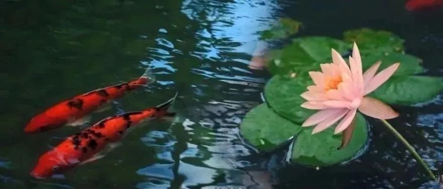 中式庭院之美 | 细节诠释匠心-78