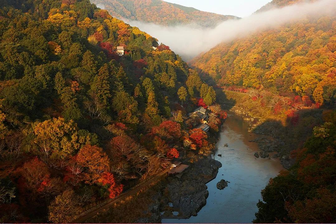 京都虹夕诺雅 | 野奢中的野奢,美到窒息!-4