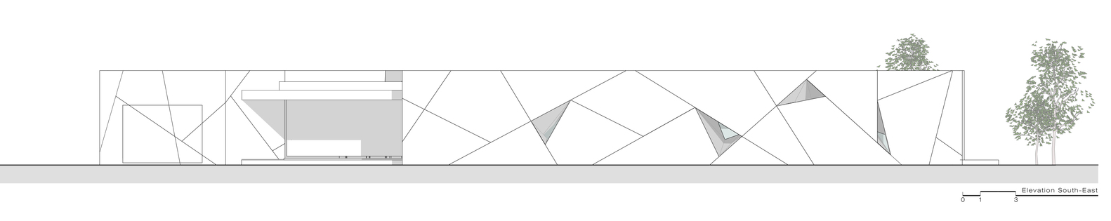 Diamond Tree（钻石树）-82