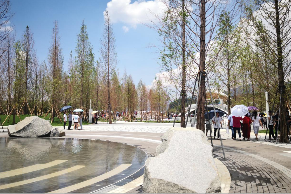 抚仙湖星空小镇 | 生态修复的人与自然和谐共生典范-44