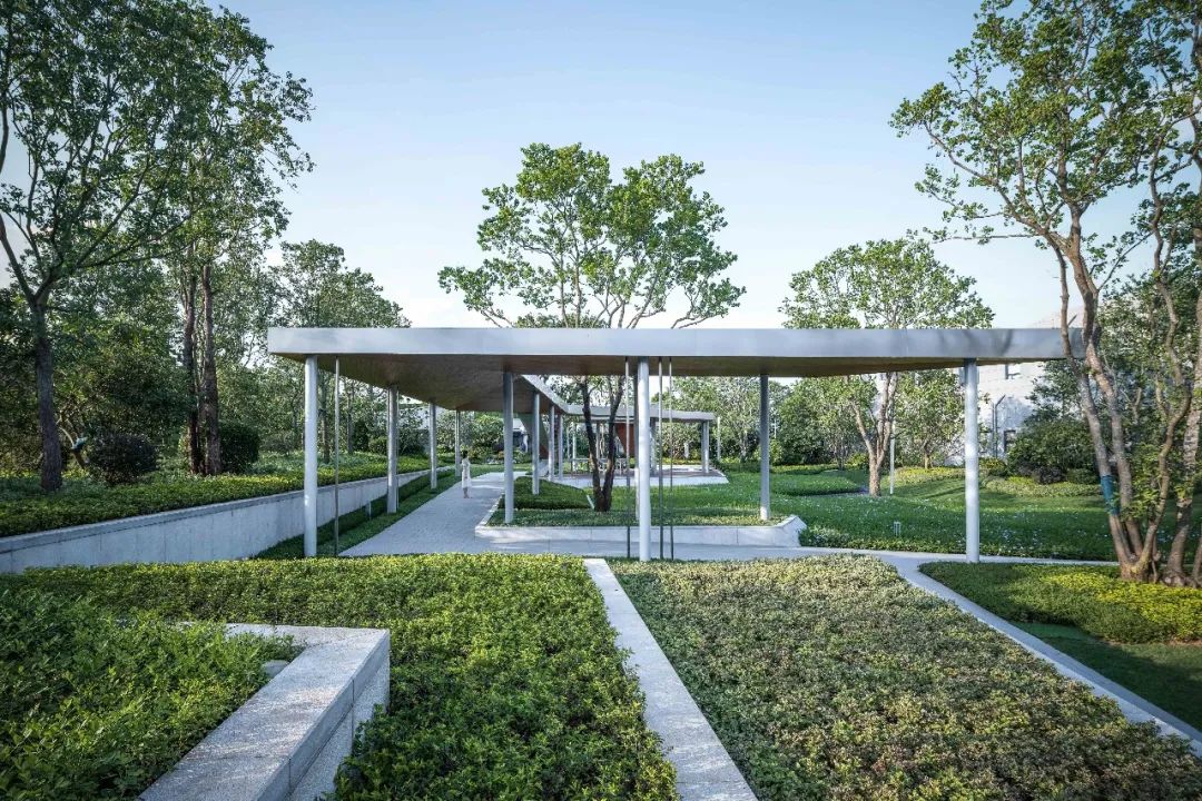 南宁中南十洲秘境森林 | 自然与人文的共生之旅-141