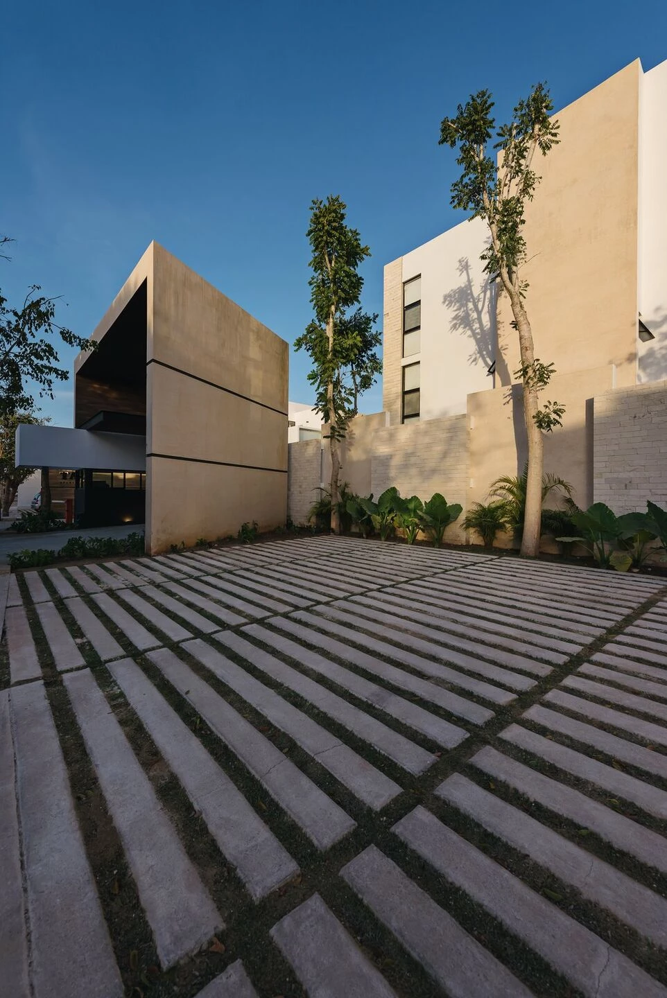 TAO 公寓丨墨西哥丨Arkham Projects-7