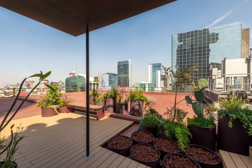 墨西哥城繁忙大道上的空中办公室改造-45