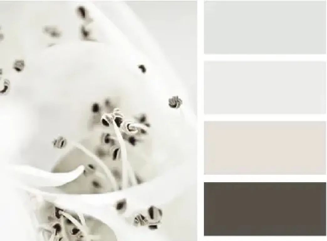 柳州碧桂园十里江湾 168㎡现代简约风,绿意盎然诗意生活-7