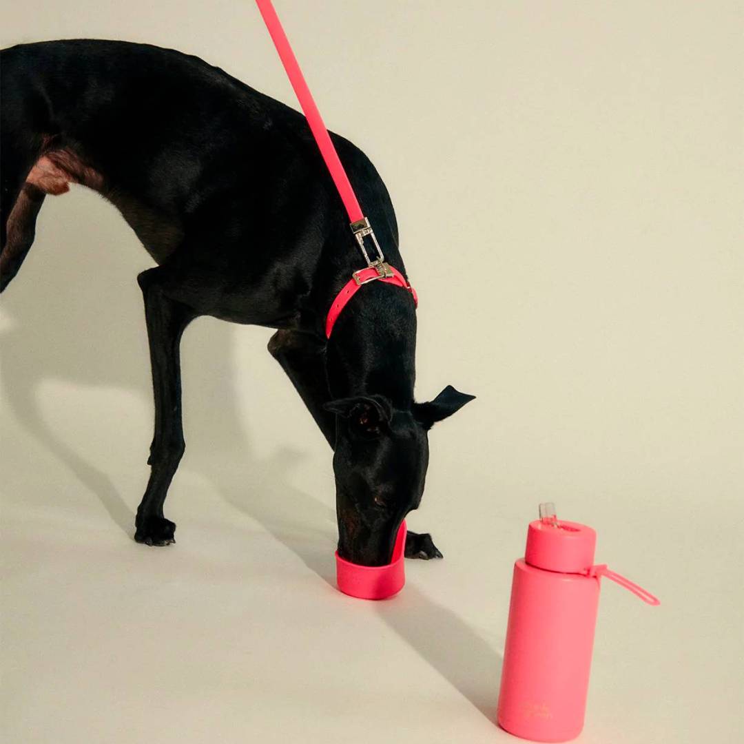 春日完美野餐必备 13 件单品-2