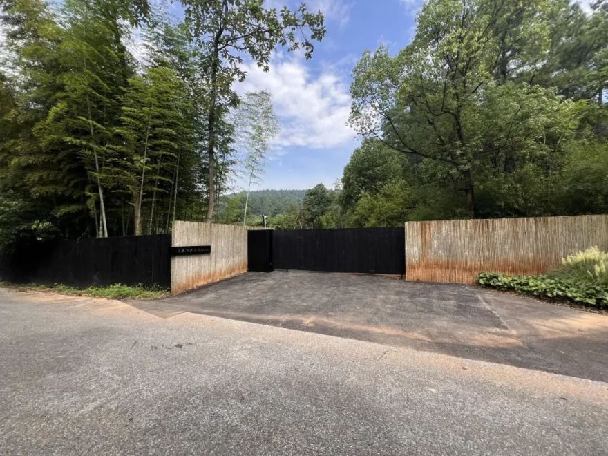 山谷松林里的隐世秘境之旅|PrivateJourneyinthePineryValley-24