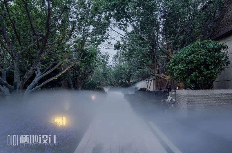 山间仙境,栖地设计的一渡青青小镇-17