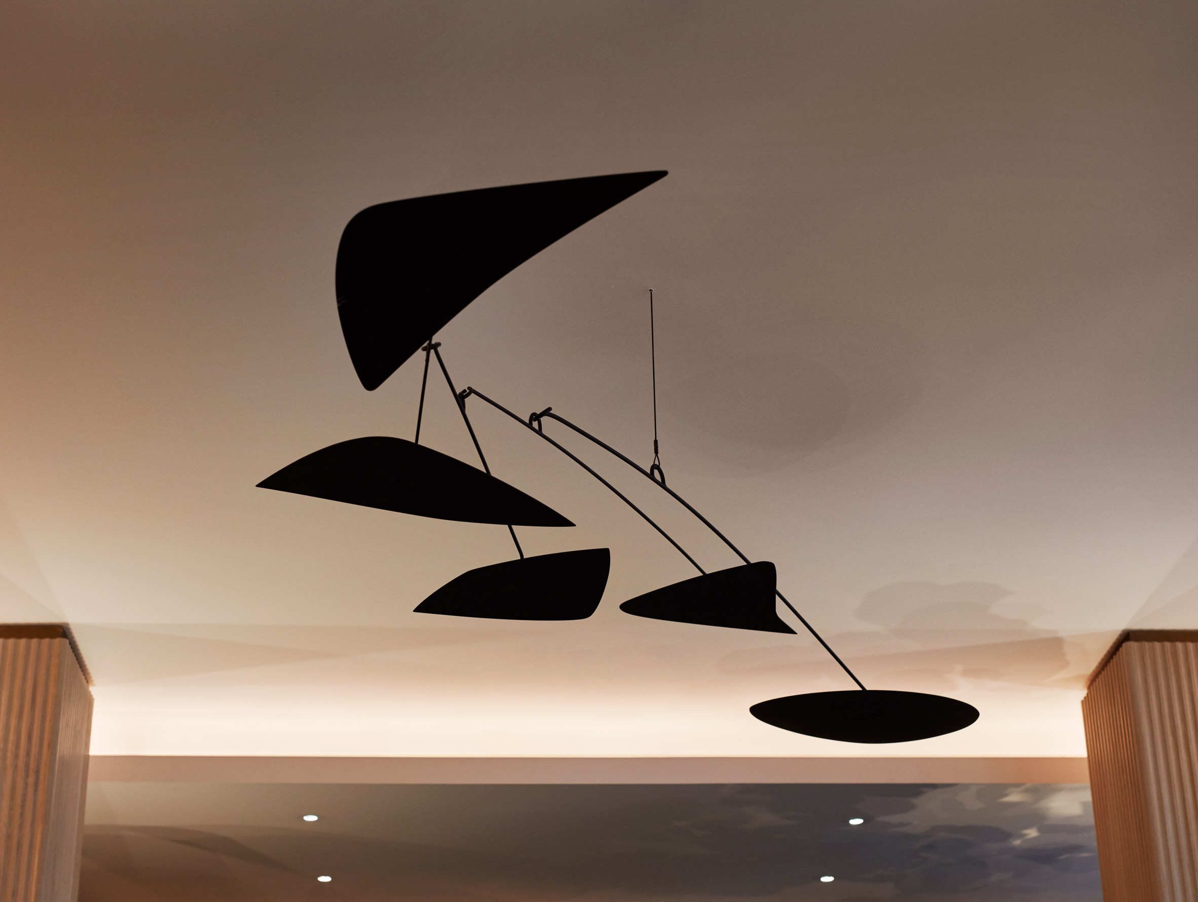 11 Howard hotel in New York will "look better not worse in five years", says Anda Andrei-5