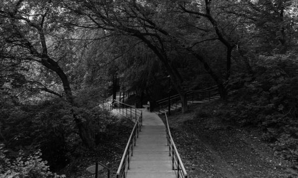 Шагни за горизонт:公园及滨水区域翻新丨俄罗斯丨Orchestra Design,巴什基尔城市与乡村发展研究所等-19