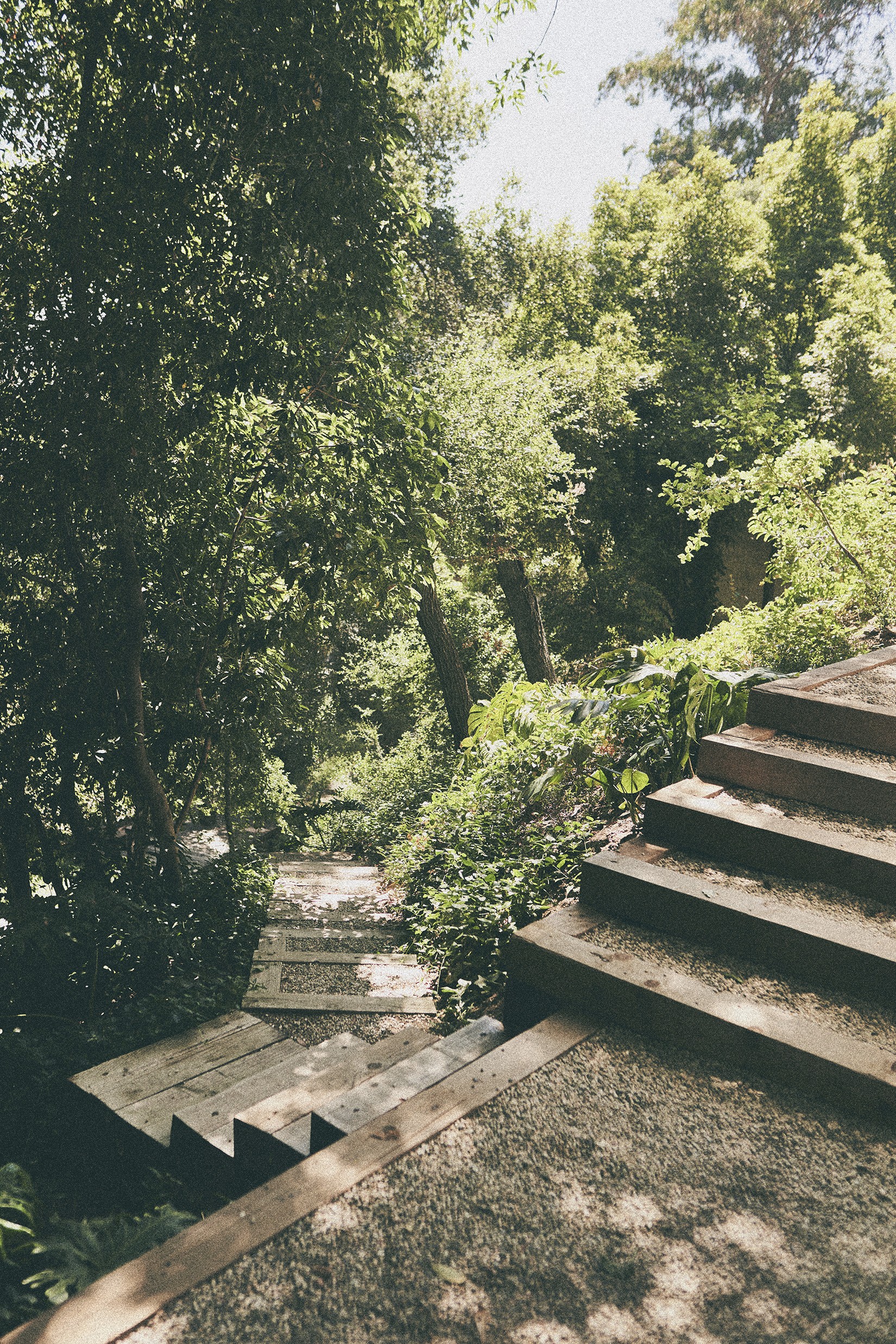 门前野趣丨TERREMOTO-40