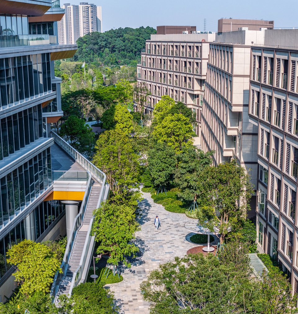 海大科学园丨中国广州丨LOLA Landscape Architects-34