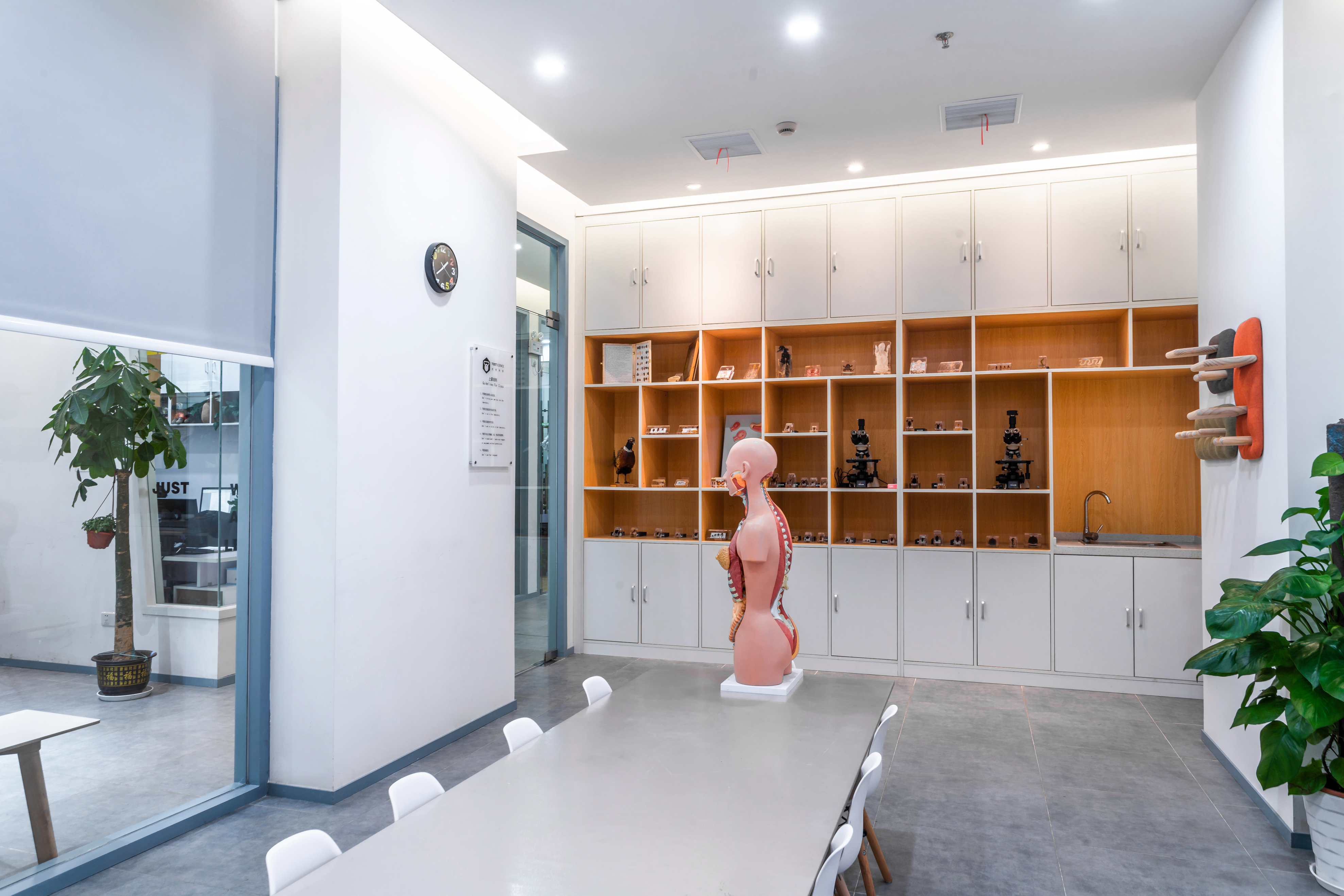 美国托特科学连锁教育中心 steam-苏州店（一淘设计机构）-10