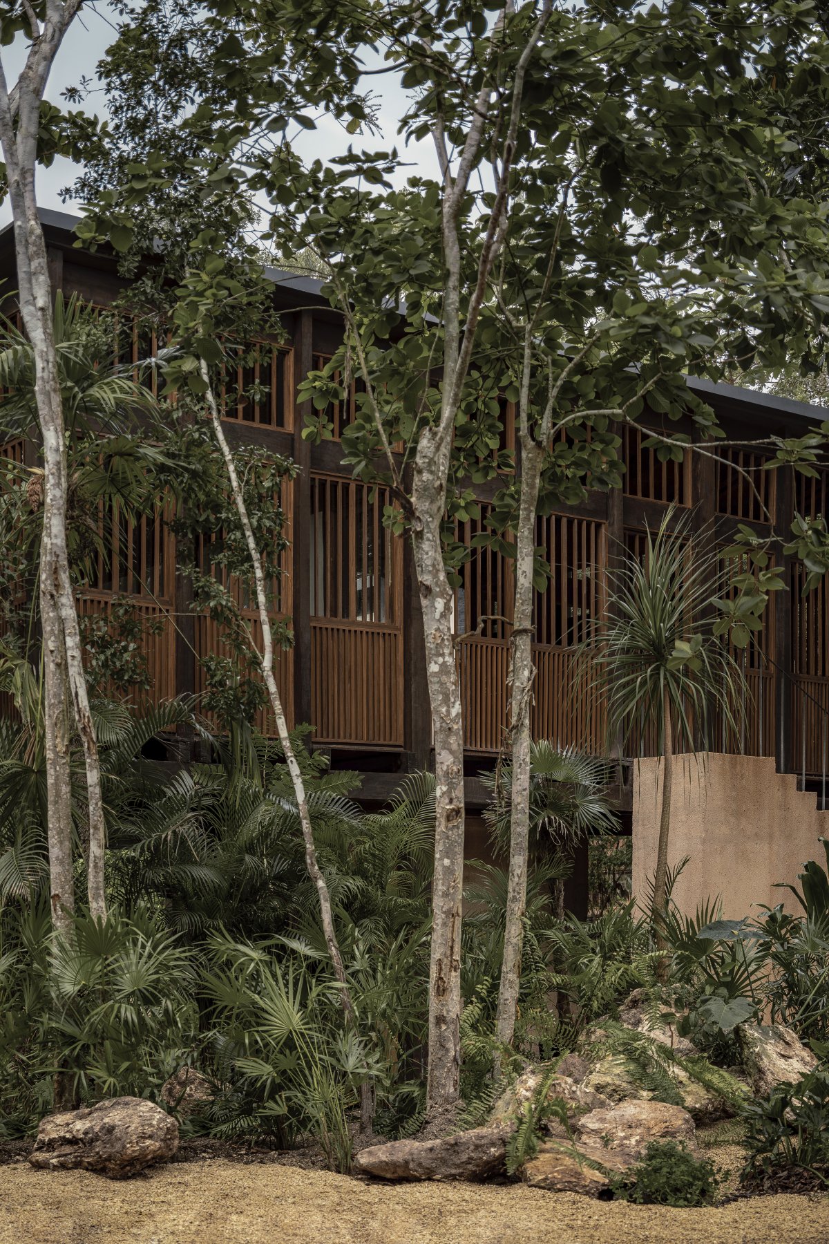 Boca de Agua 酒店丨Frida Escobedo-11