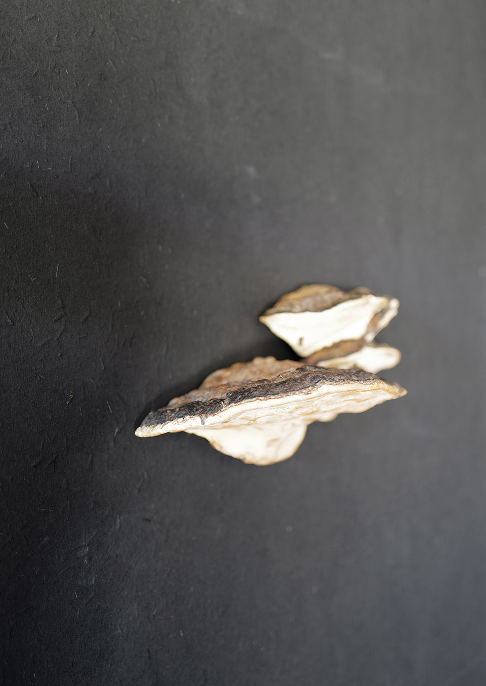 京都NOMA餐厅室内设计丨日本京都丨OEO STUDIO-70