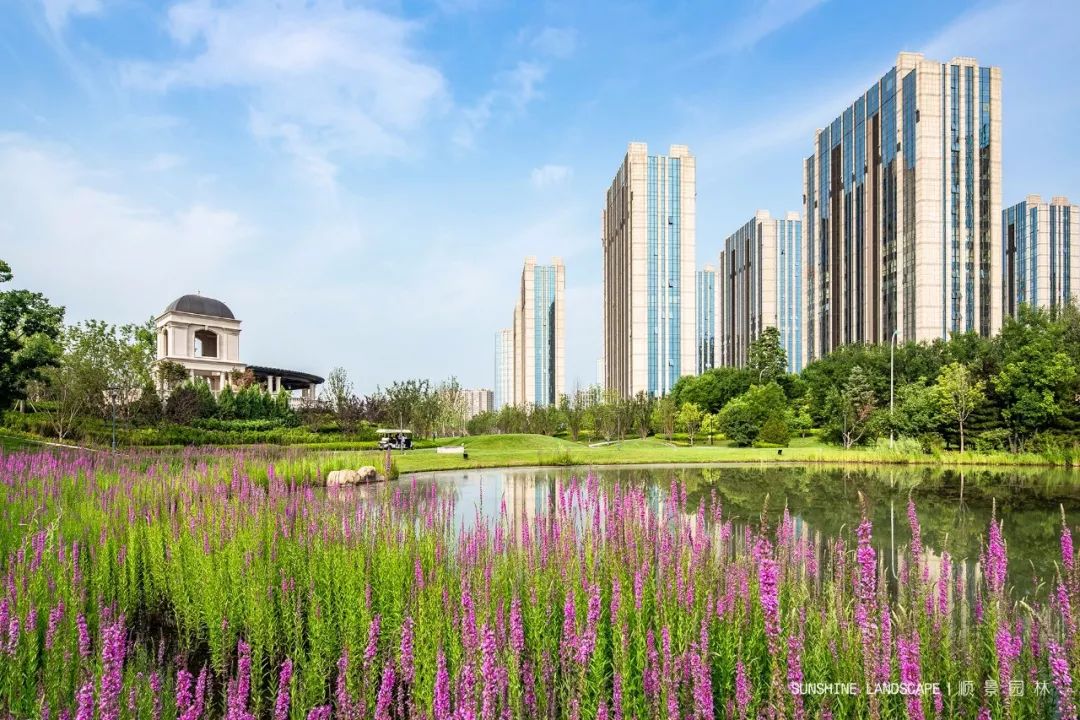 尚峯壹號 | 绿意盎然的海德公园生活-38