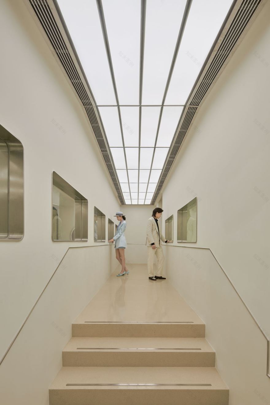 bibu宠物店丨中国广州丨今朝风日好ofD-49