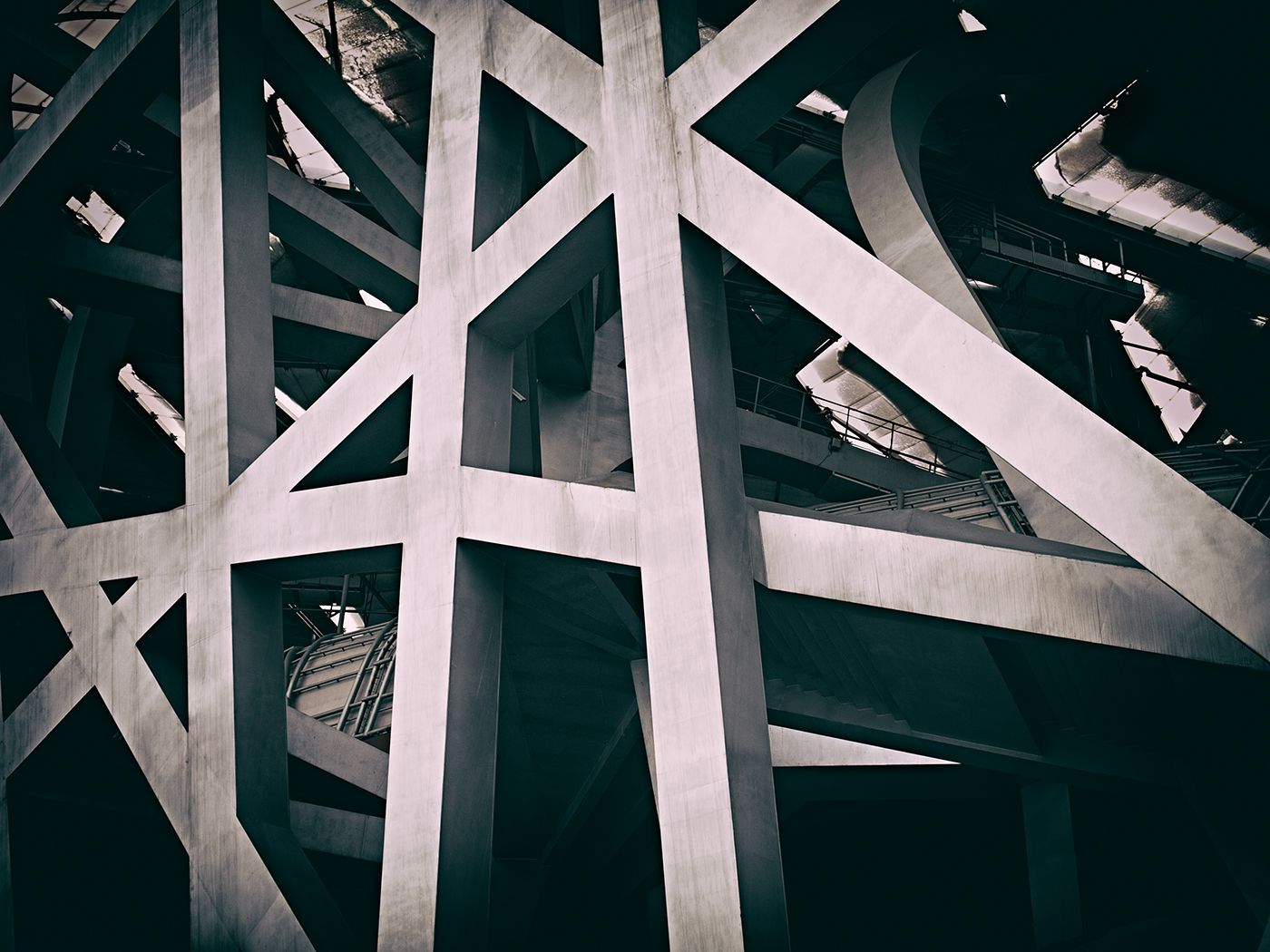 Morning at the Bird's Nest:  Beijing China-2