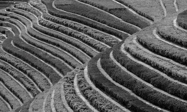 融山联区,长岭山居丨中国广州丨吕学军团队-24