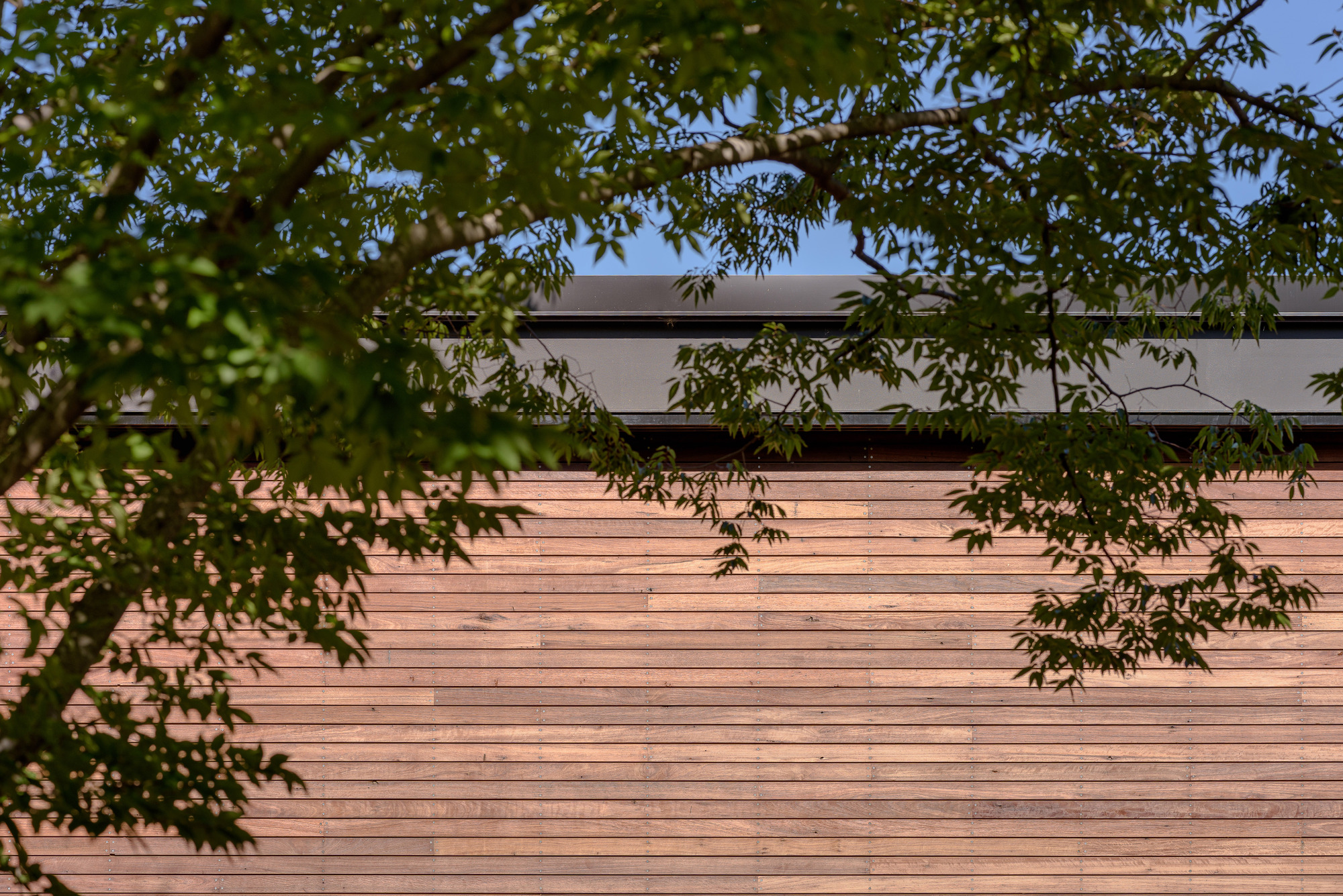 丨澳大利亚堪培拉丨Ben Walker Architects-45