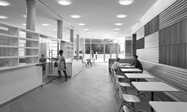 普林斯顿大学神经生物学与心理学综合体丨美国新泽西丨拉斐尔·莫内奥,Davis Brody Bond-38