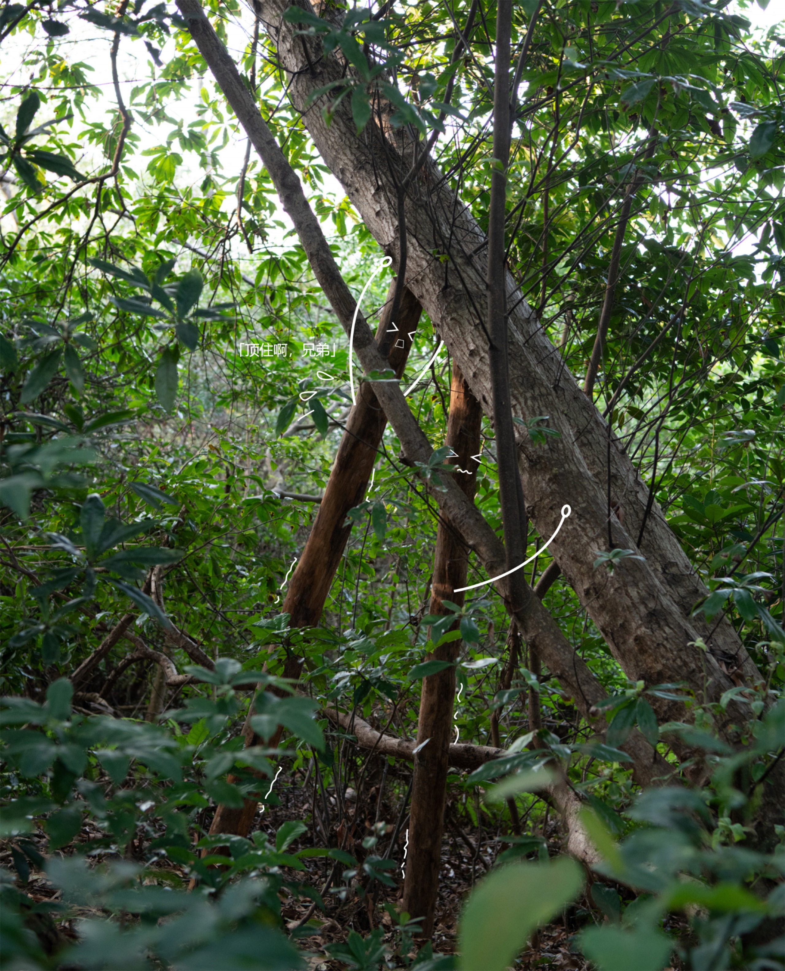 深圳市罗湖区东湖公园郊野径 – 莲塘口岸线丨中国深圳丨深圳市未名设计顾问有限公司 （WMLA）-69