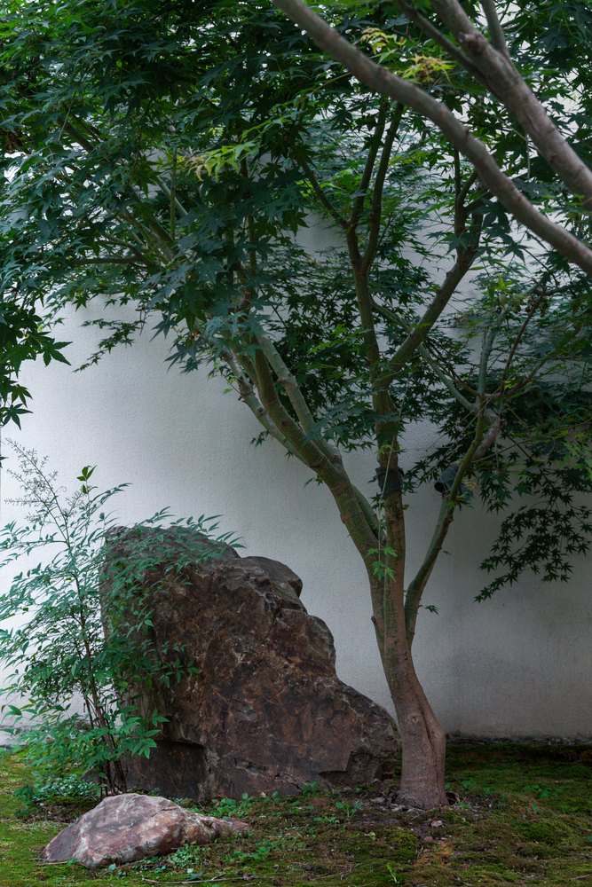 共享社区优雅 · 上海东苑二村邻里服务站与活动室设计-37