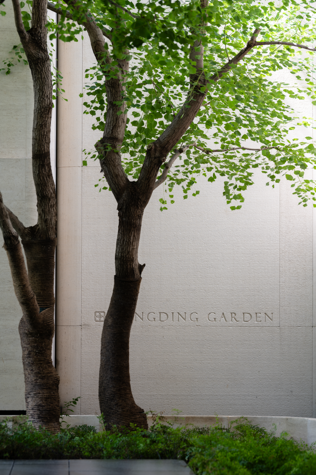 招商·康定壹拾玖 老静安印记 梧桐下永恒丨中国上海丨柏熙标识-25