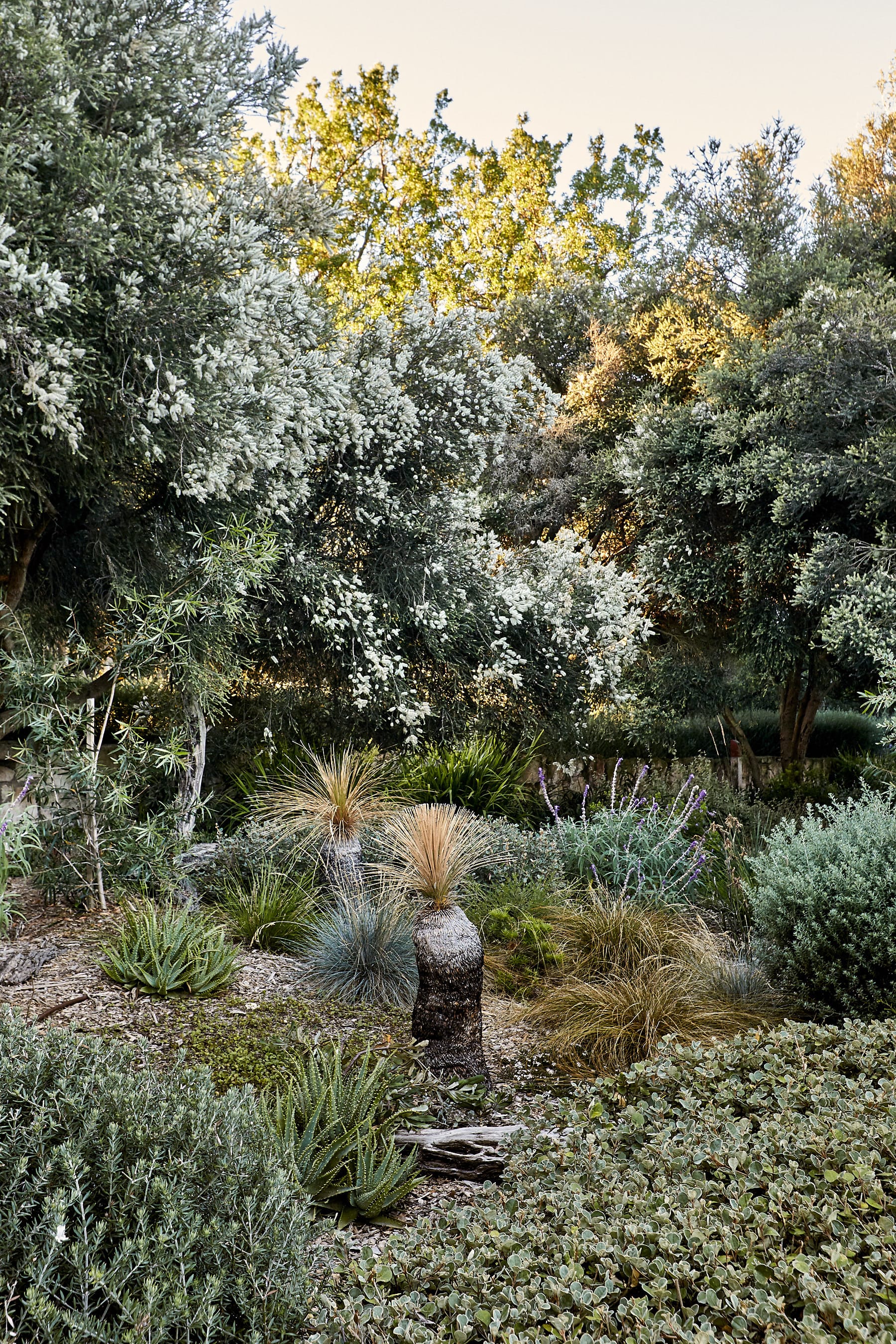 莫宁顿梦境花园-38