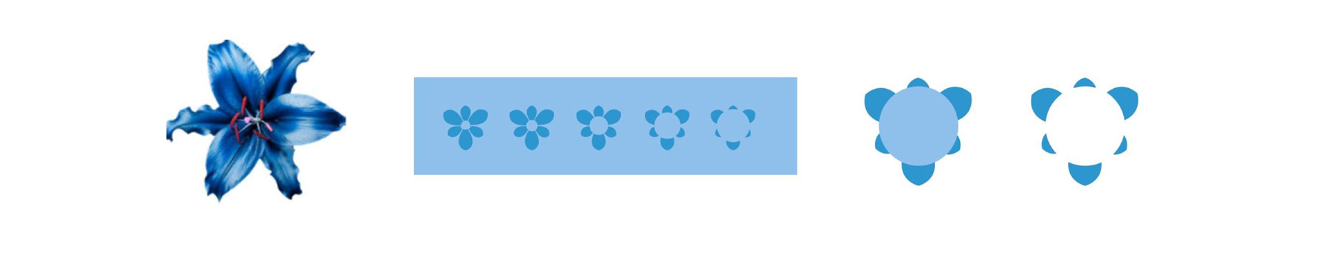 Eurogarden 导向标识设计丨巴西丨costudio.art-26