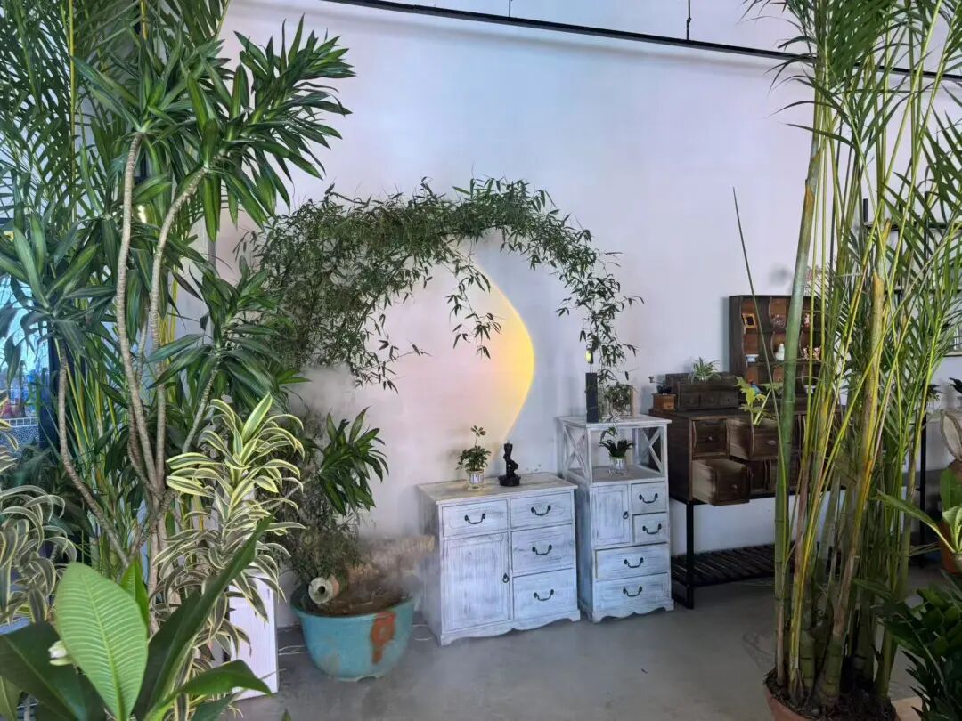 城市中的【小森林】-0