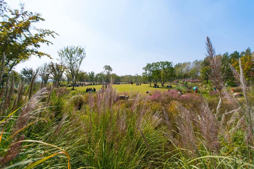 新加坡·南京生态科技岛滨江风光带(大江侧)示范区景观设计项目-12