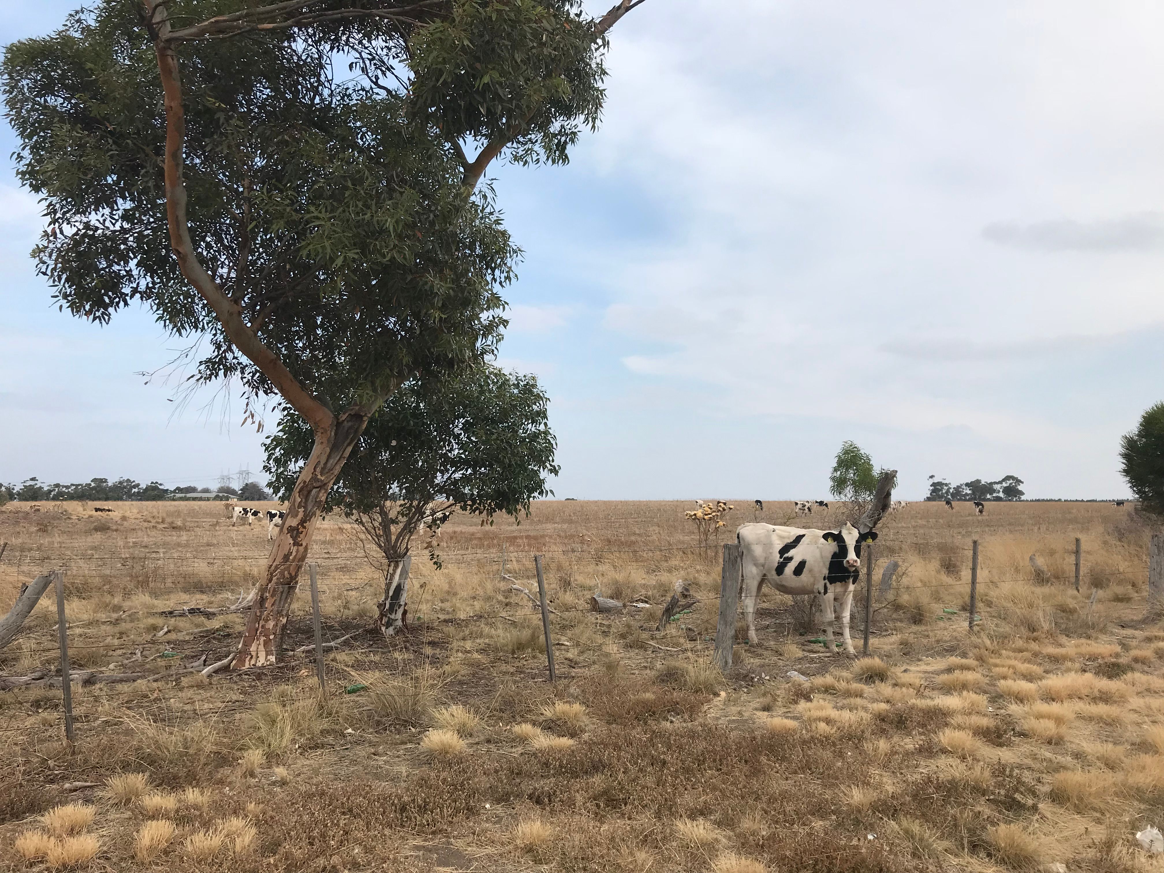 沃勒特社区中心-9