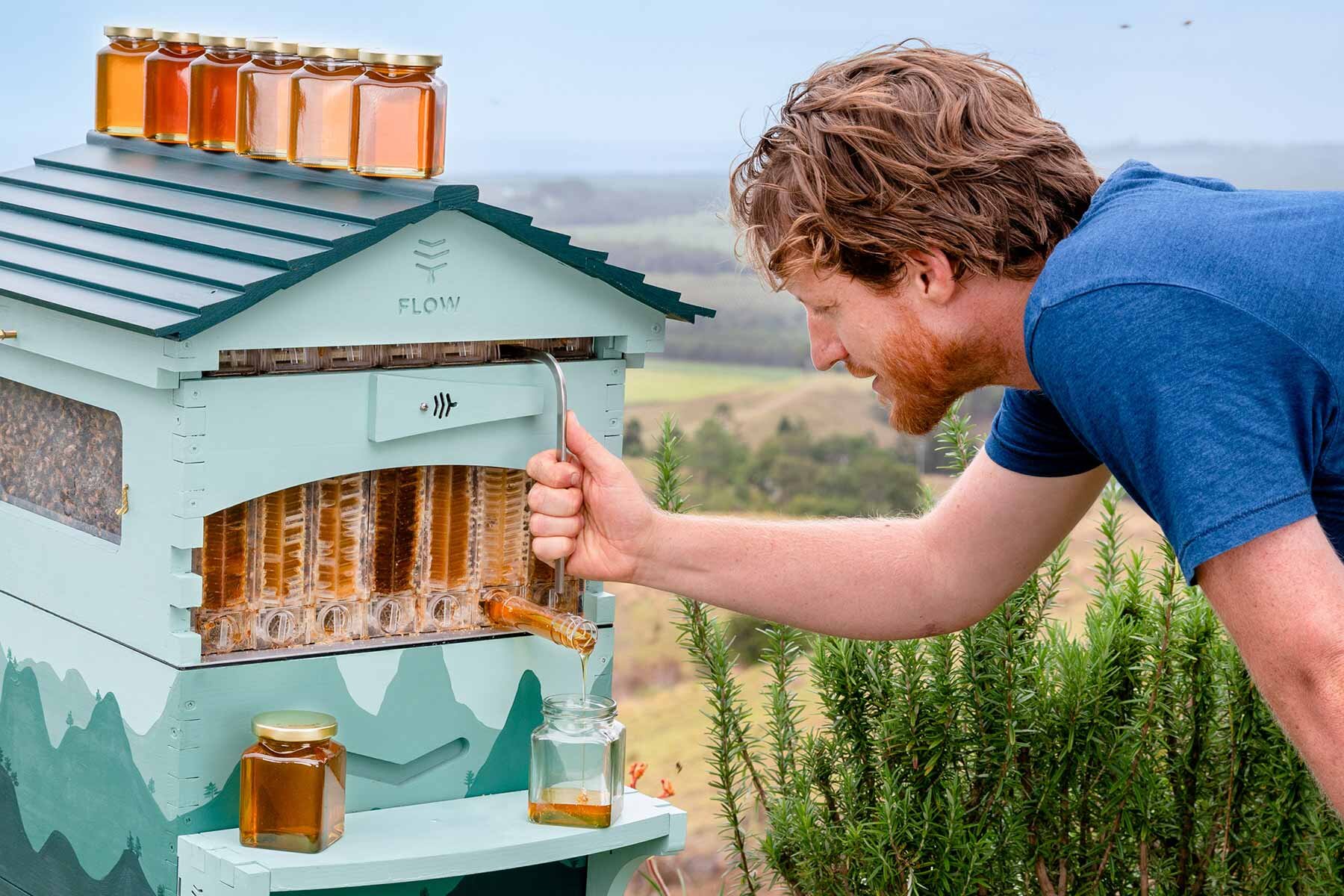 2020 World Bee Day — Adam Robinson Design-5