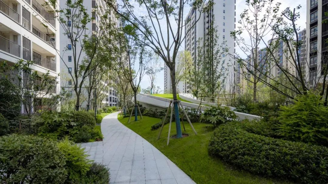 园路列植设计丨上景总工办-41