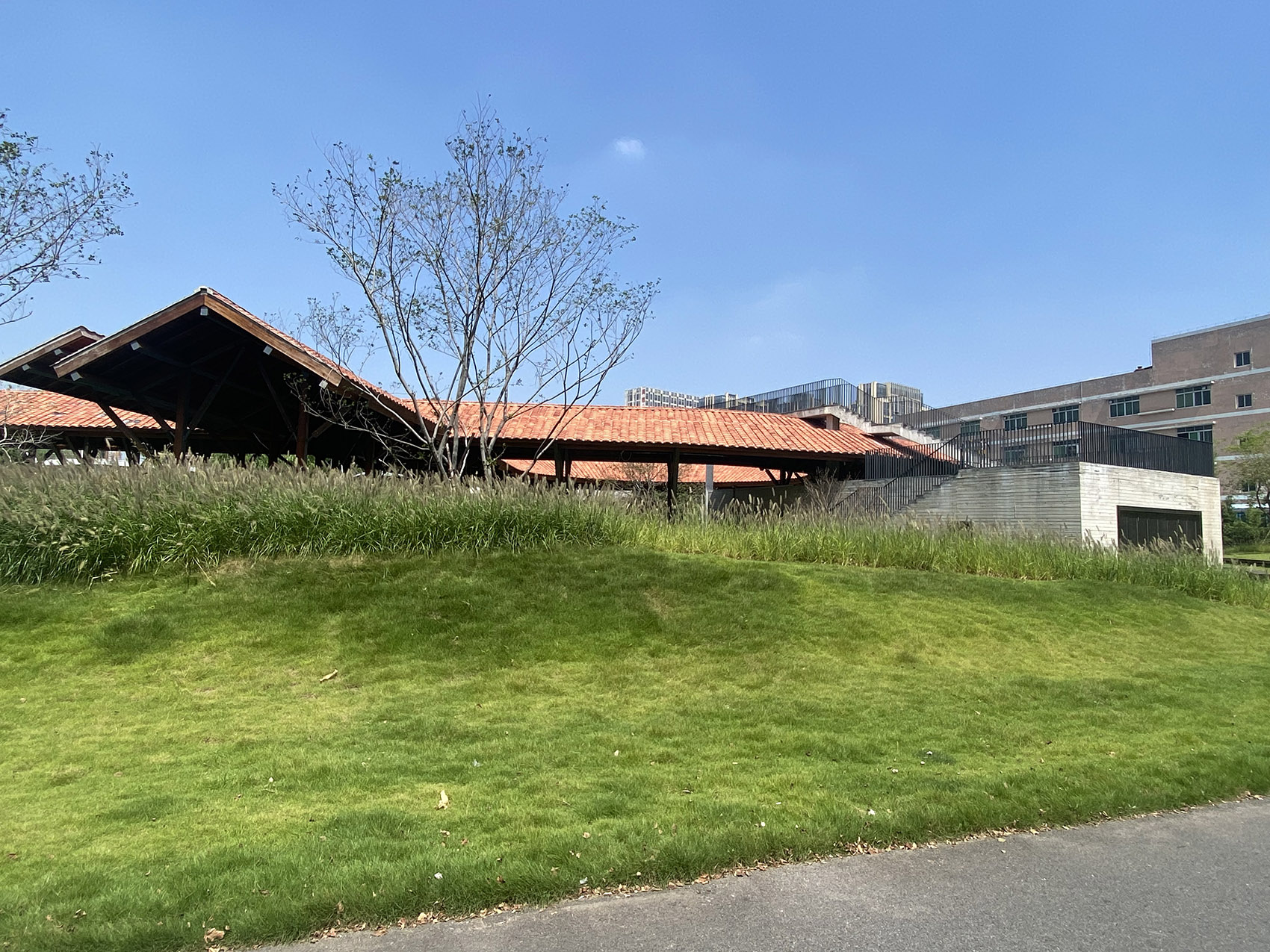 盐步老龙公园丨中国佛山丨竖梁社悬亮子工作室-32